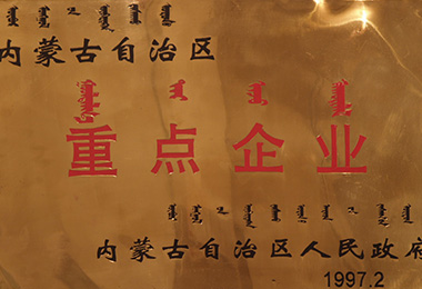 内蒙古星空电子集团有限公司