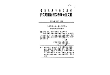内蒙古星空电子集团有限公司