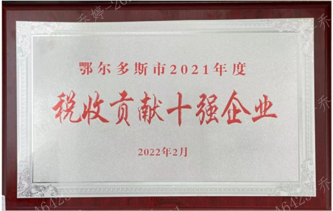 内蒙古星空电子集团有限公司